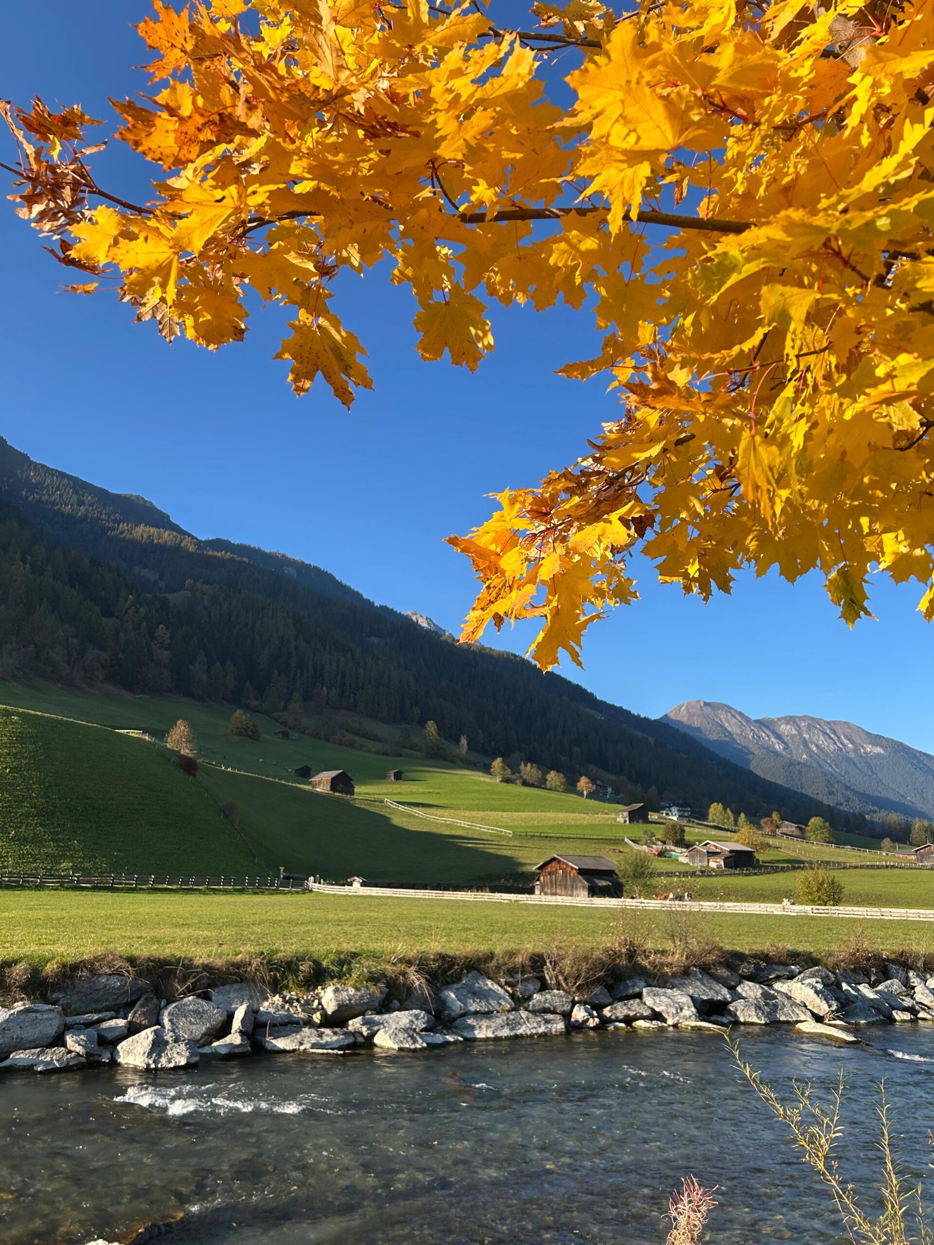 WhatsApp Image 2026-02-27 at 15.38.22